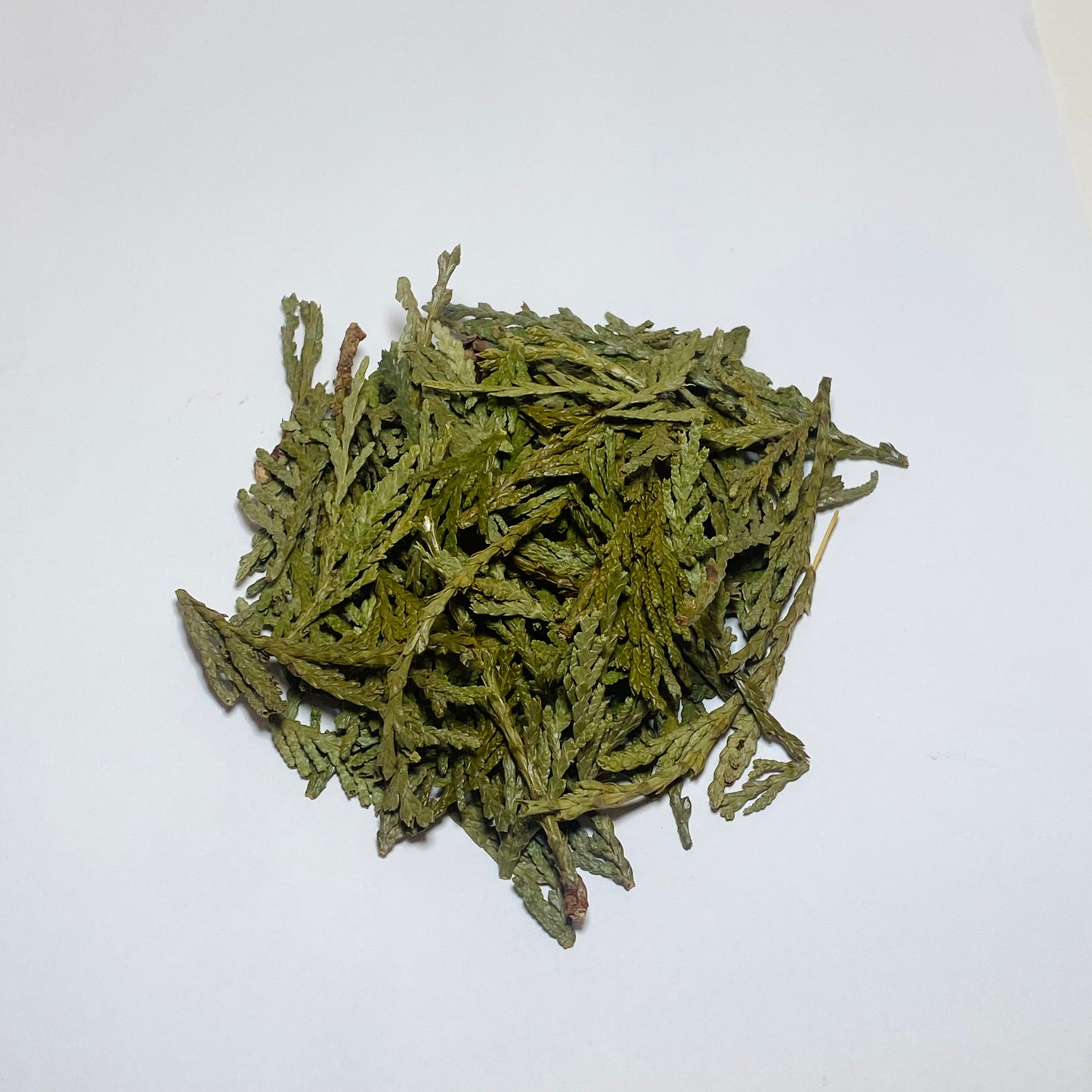 Cedar Tips