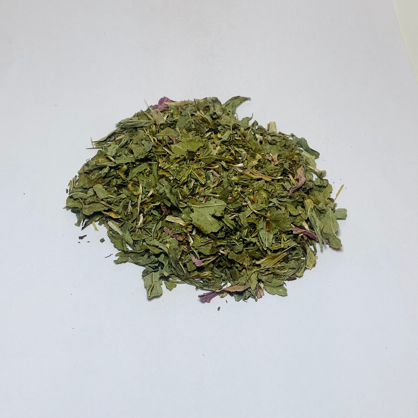 Echinacea Purpurea