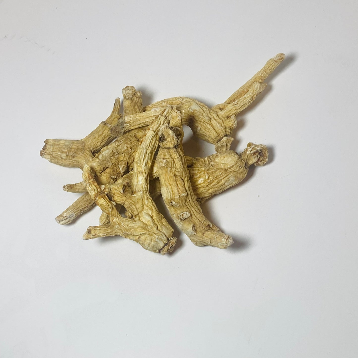 Ginseng Root, White