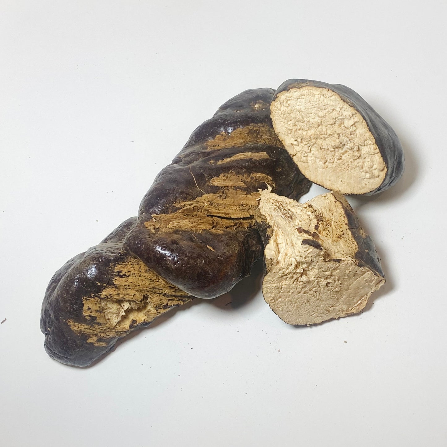 Reishi Mushroom