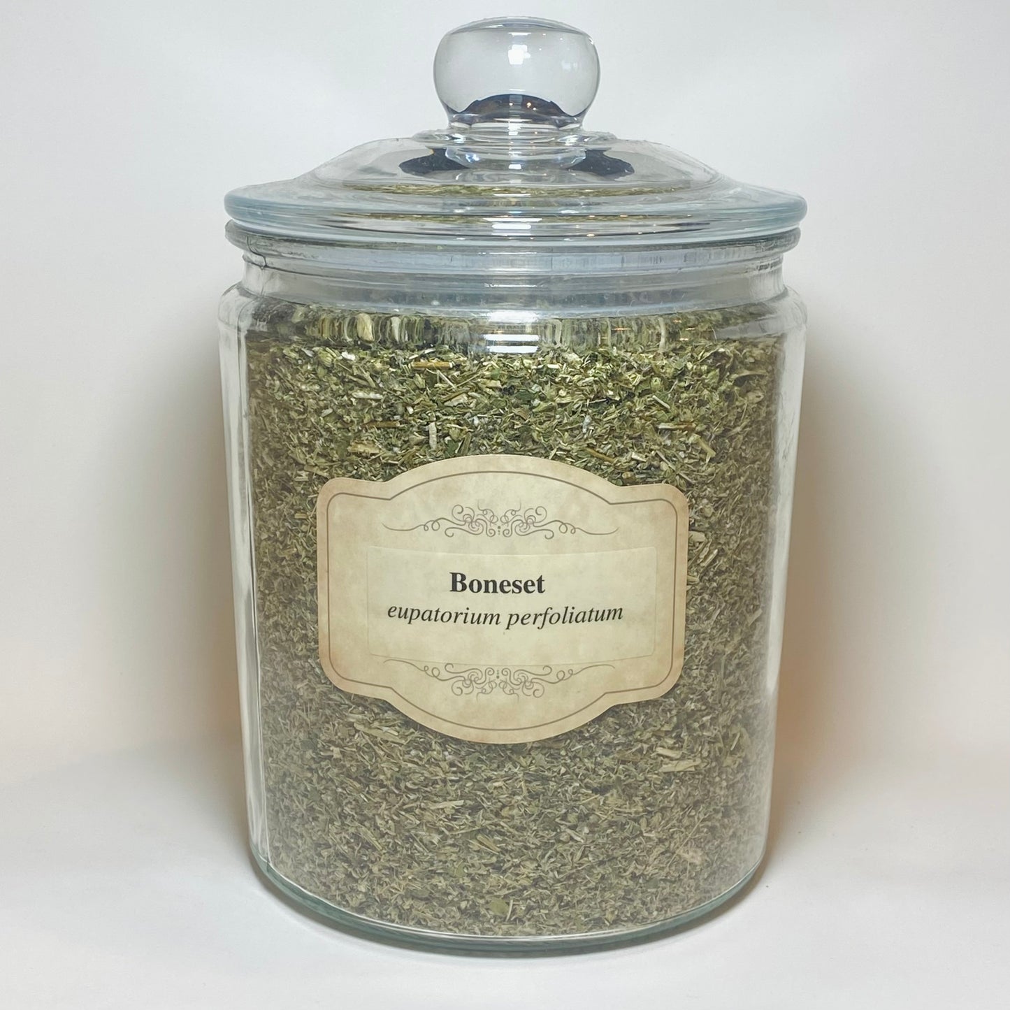 Boneset