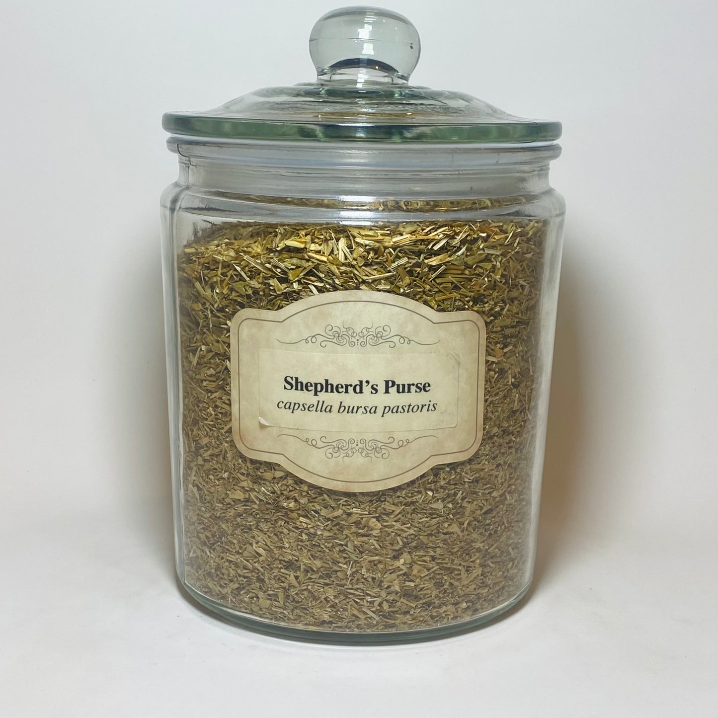 Shepherd's Purse