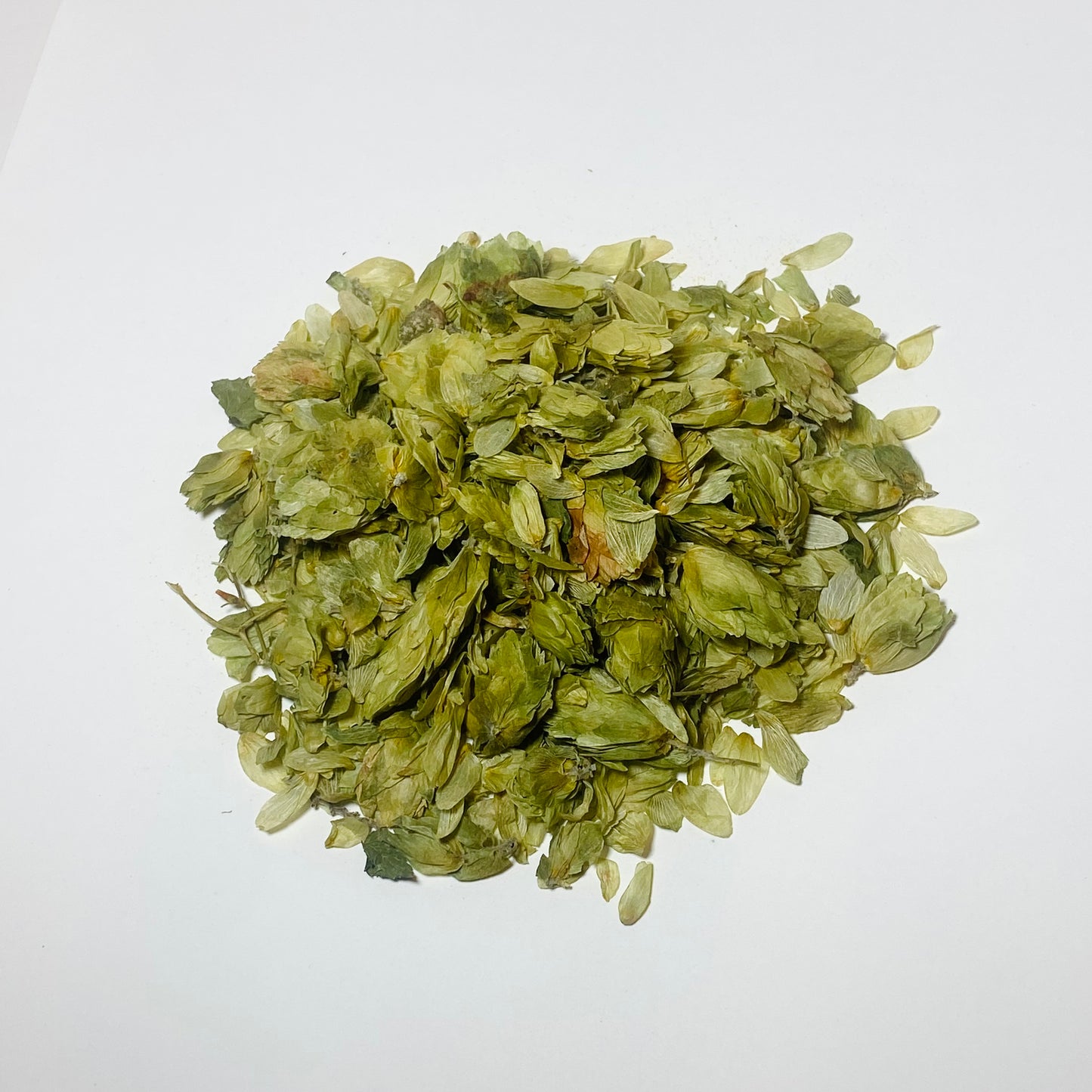 Hops Flower
