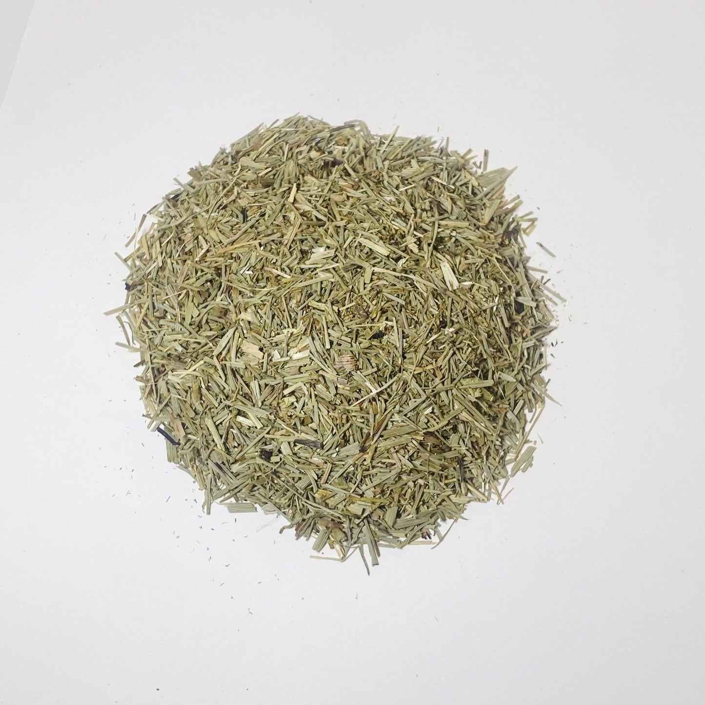 Horsetail / Shavegrass