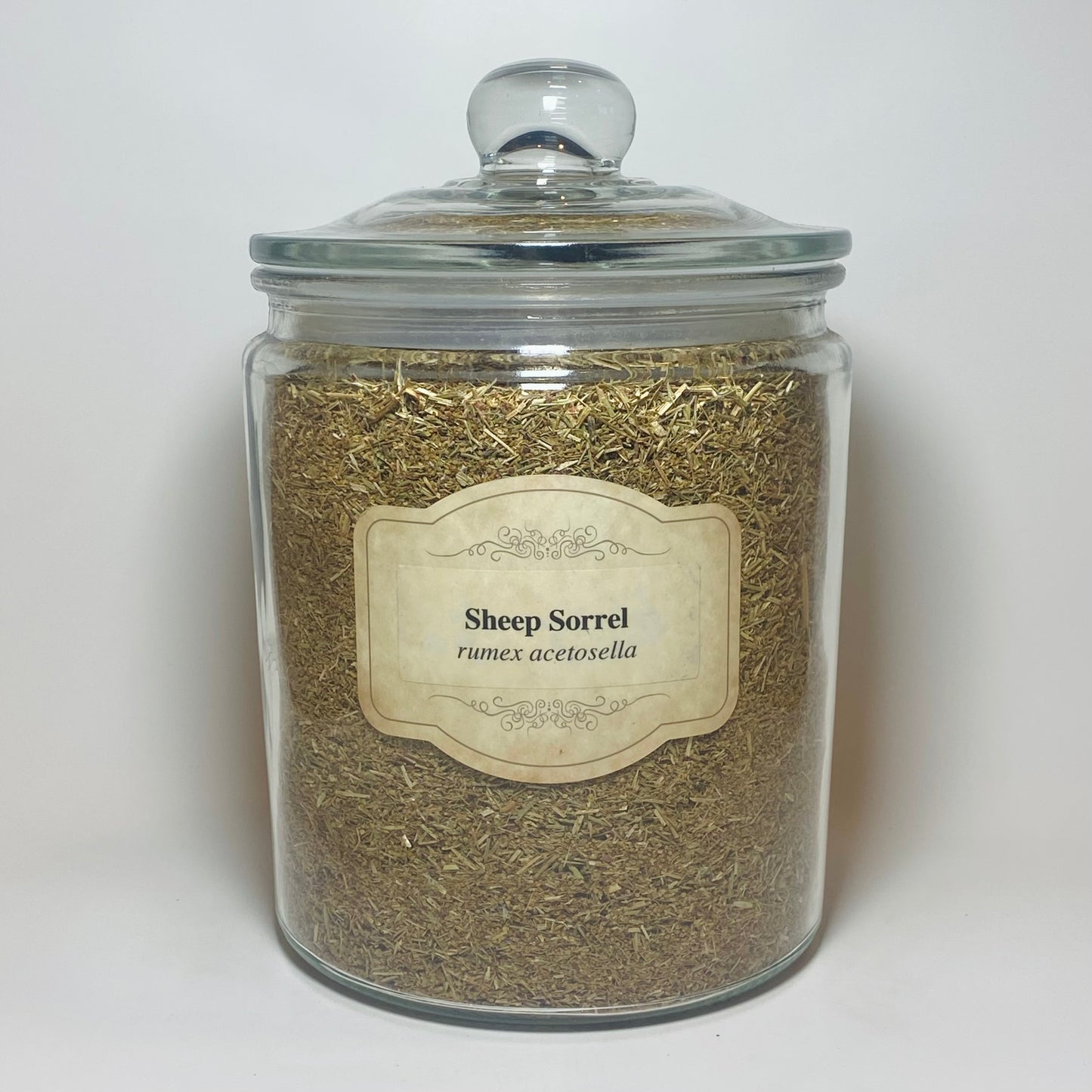 Sheep Sorrel