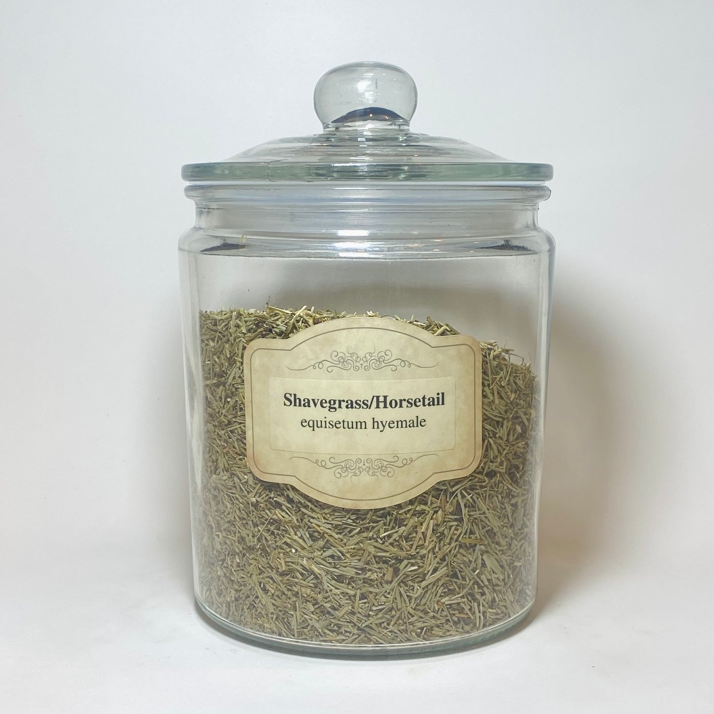 Horsetail / Shavegrass