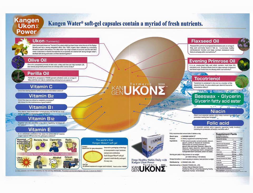 Ukon Turmeric Capsules - Main Image