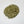 Feverfew
