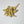 Ginseng Root, White