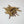 Ginseng Root, Red