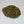 Comfrey Leaf