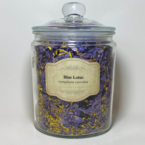 Blue Lotus