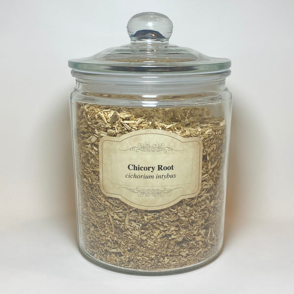 Chickory Root
