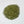 Nettle Leaf