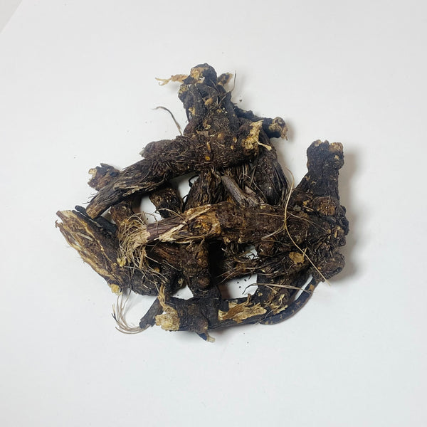 Osha Root