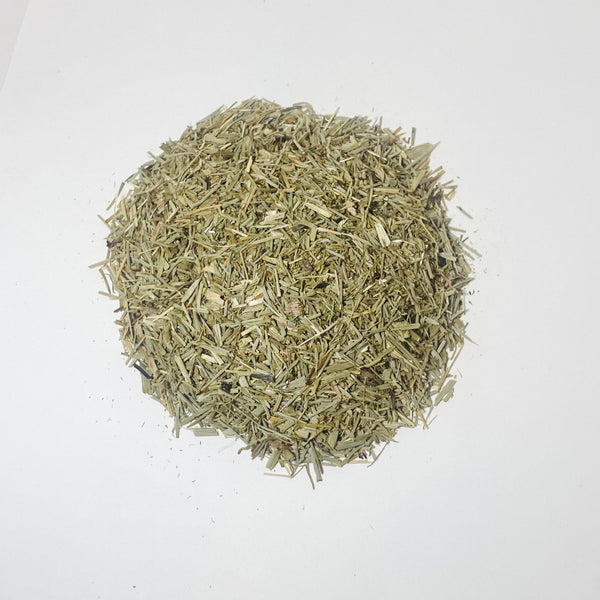 Horsetail / Shavegrass