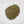Hyssop