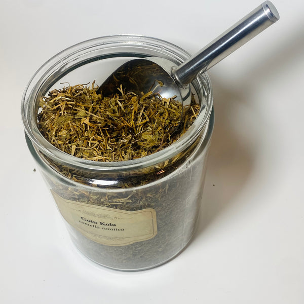 Gotu Kola